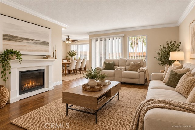 Front Image Thumbnail for CRSB26231567