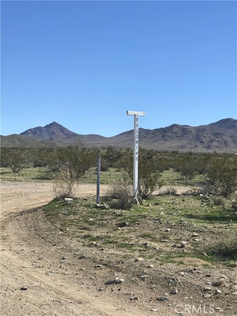 0 Palomino Road, Helendale CA: https://media.crmls.org/medias/3c8ee3c7-ae88-4384-a6bd-cd58e404e460.jpg
