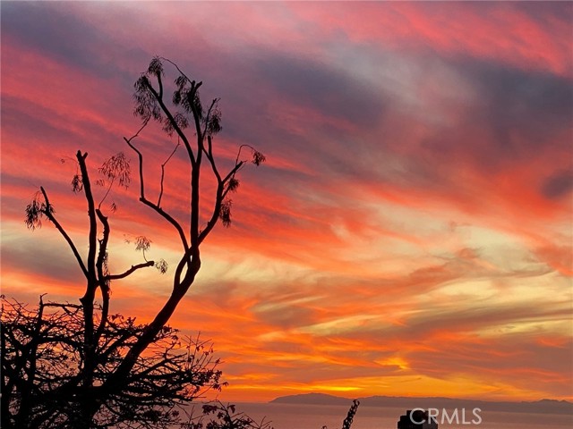 1076 Miramar Street, Laguna Beach CA: https://media.crmls.org/medias/3c95a6d0-48bb-48f4-a26a-2bcf51ed0307.jpg