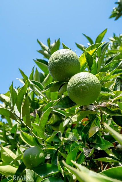 870 Rosecrans Avenue, Manhattan Beach, California 90266, 3 Bedrooms Bedrooms, ,2 BathroomsBathrooms,Residential,Sold,Rosecrans,SB21187159