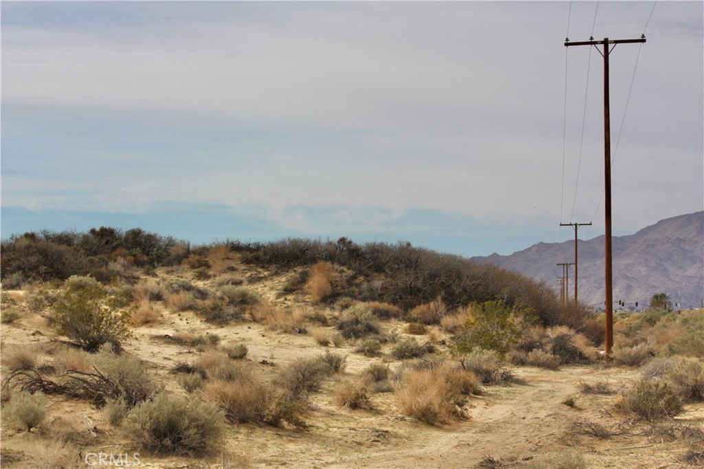 MLS #JT25270168 image #17