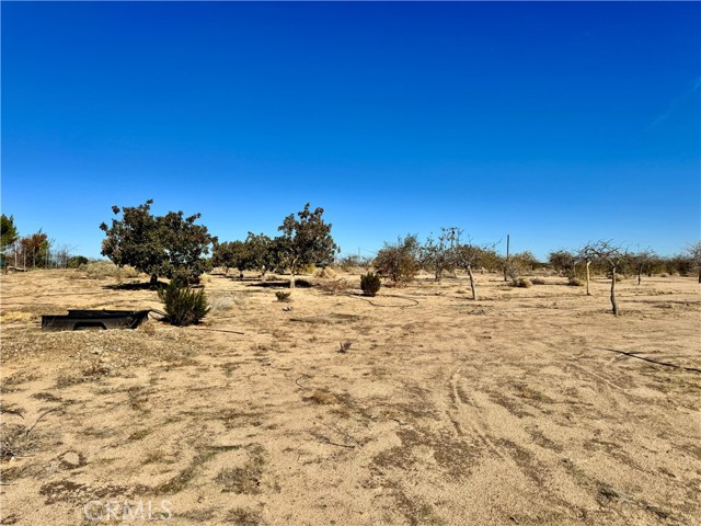 Detail Gallery Image 52 of 67 For 44823 Silver Valley, Newberry Springs,  CA 92365 - 2 Beds | 2 Baths