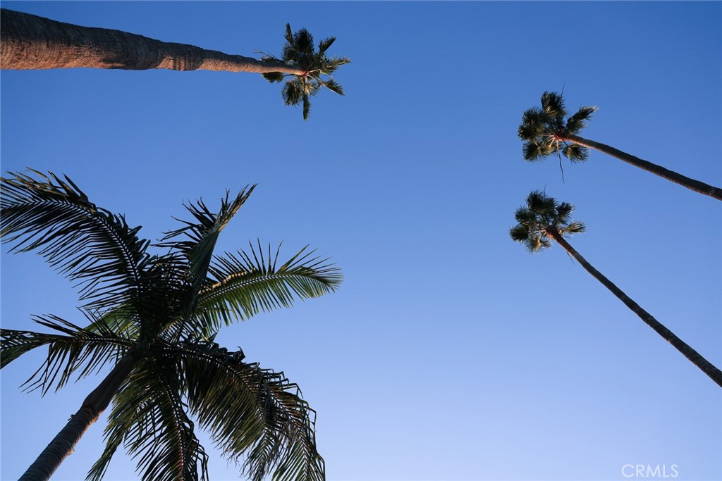 https://media.crmls.org/medias/3cb3c497-a42b-4317-ae24-ae1a5d6a798b.jpg?preset=X-Large