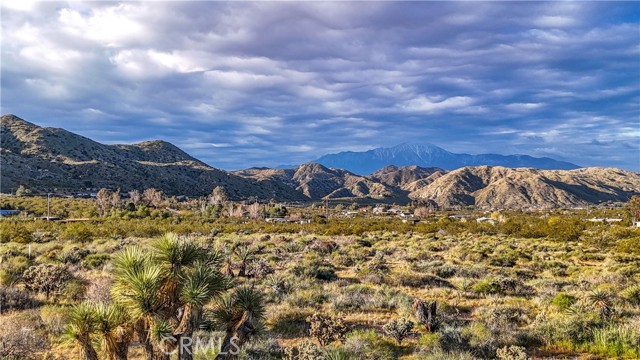 Detail Gallery Image 18 of 28 For 8901 Samel Rd, Morongo Valley,  CA 92256 - – Beds | – Baths