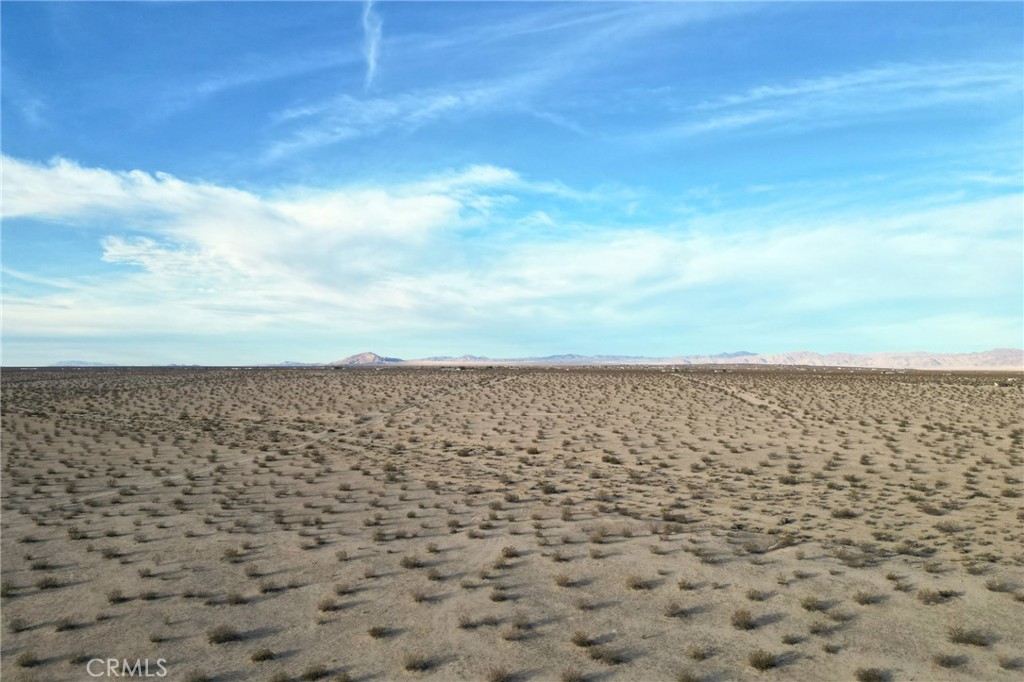 MLS #JT24251193 image #5