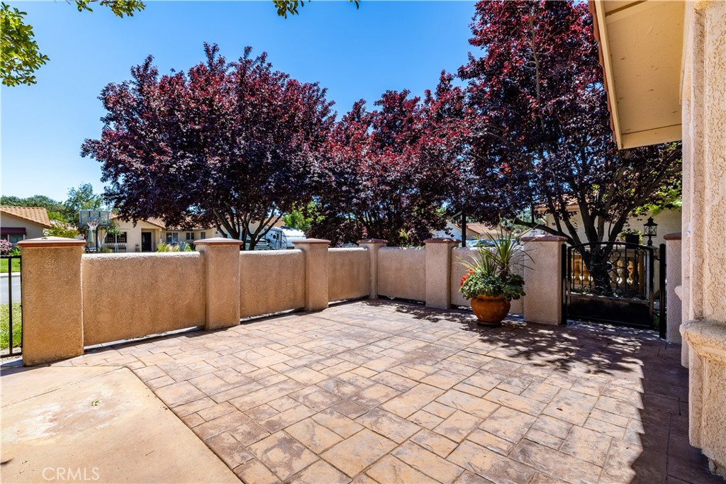 917 Saint Ann