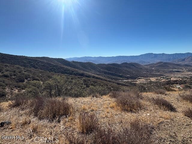 Detail Gallery Image 7 of 14 For 4700 Shannon View Rd, Acton,  CA 93510 - – Beds | – Baths