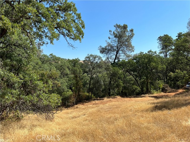 Detail Gallery Image 22 of 38 For 0 Rich Gulch Rd, Yankee Hill,  CA 95965 - – Beds | – Baths