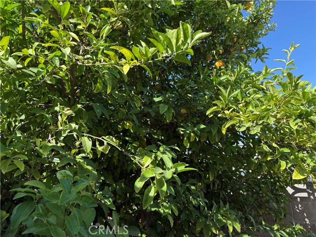26316 Brandywine Drive, Menifee CA: https://media.crmls.org/medias/3cc57ae4-aef9-4e94-a581-a66f653018f7.jpg