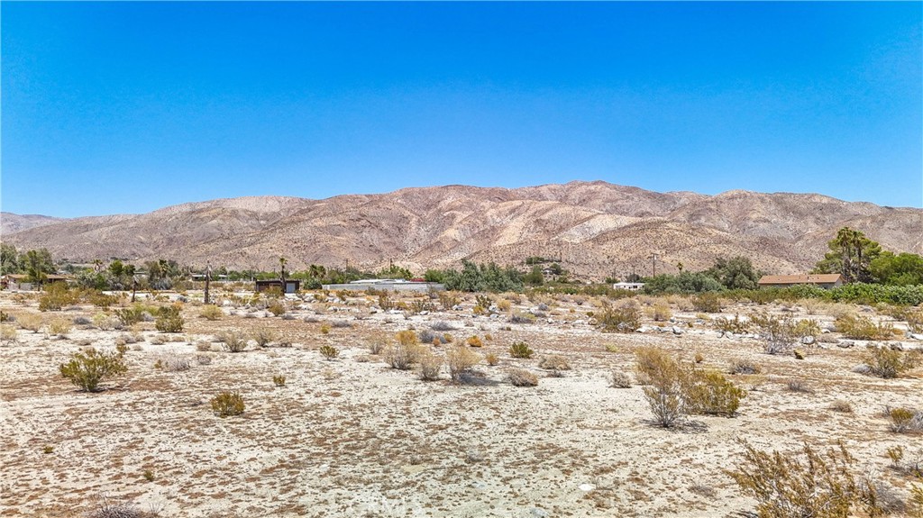 MLS #JT24133098 image #16