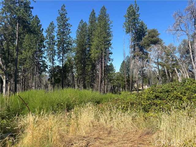 Detail Gallery Image 10 of 21 For 1996 Bald Rock Rd, Berry Creek,  CA 95916 - – Beds | – Baths