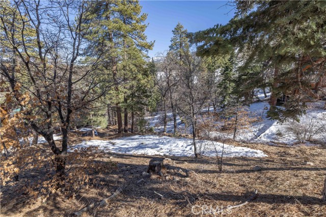 Detail Gallery Image 5 of 19 For 0 Pigeon Rd, Big Bear Lake,  CA 92315 - – Beds | – Baths