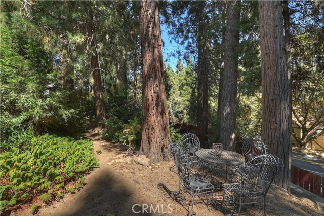 Detail Gallery Image 35 of 39 For 22911 Crest Forest Dr, Crestline,  CA 92325 - 3 Beds | 2/1 Baths