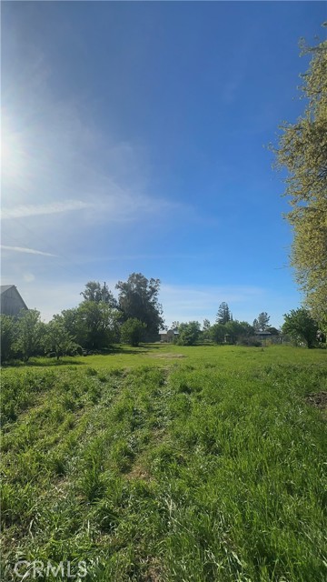 Detail Gallery Image 60 of 60 For 736 8th, Orland,  CA 95963 - 5 Beds | 2 Baths