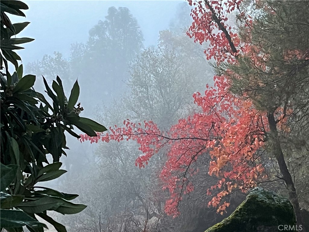 https://media.crmls.org/medias/3ce428d7-5db9-4746-9466-0d4569eb4afd.jpg?preset=X-Large