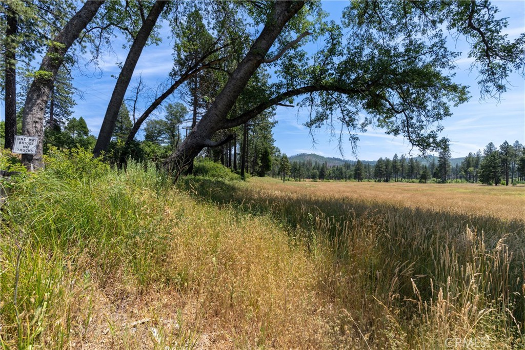 MLS #SN25260902 image #6