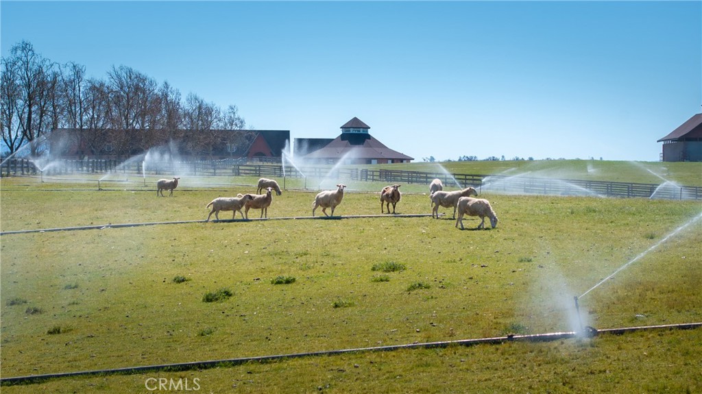 MLS #SC25117762 image #4