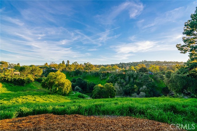 The pastoral view and canyon across the street in the late afternoon.