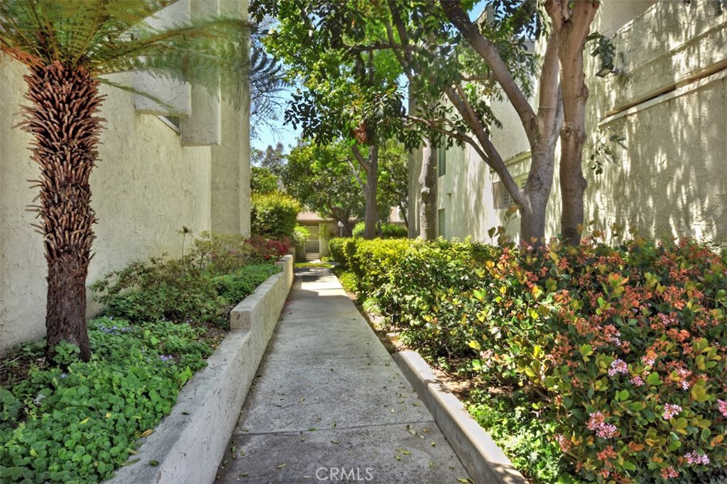 https://media.crmls.org/medias/3cf92360-4497-46ad-8145-e7575dd4949d.jpg?preset=X-Large
