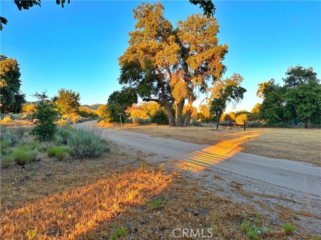 Image 64 of 70 For 29820 Chihuahua Valley Road