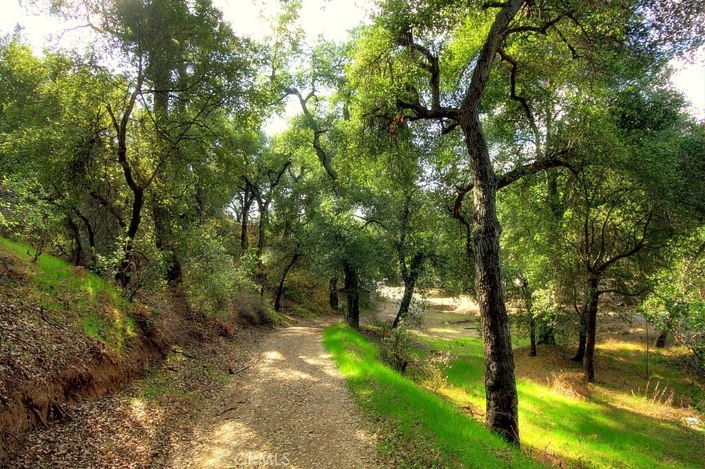 MLS #IG25034144 img 61