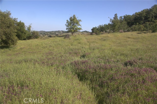 74650 Interlake Road, Bradley CA: https://media.crmls.org/medias/3d0080fe-f4c8-4d78-af43-29282d63acd2.jpg