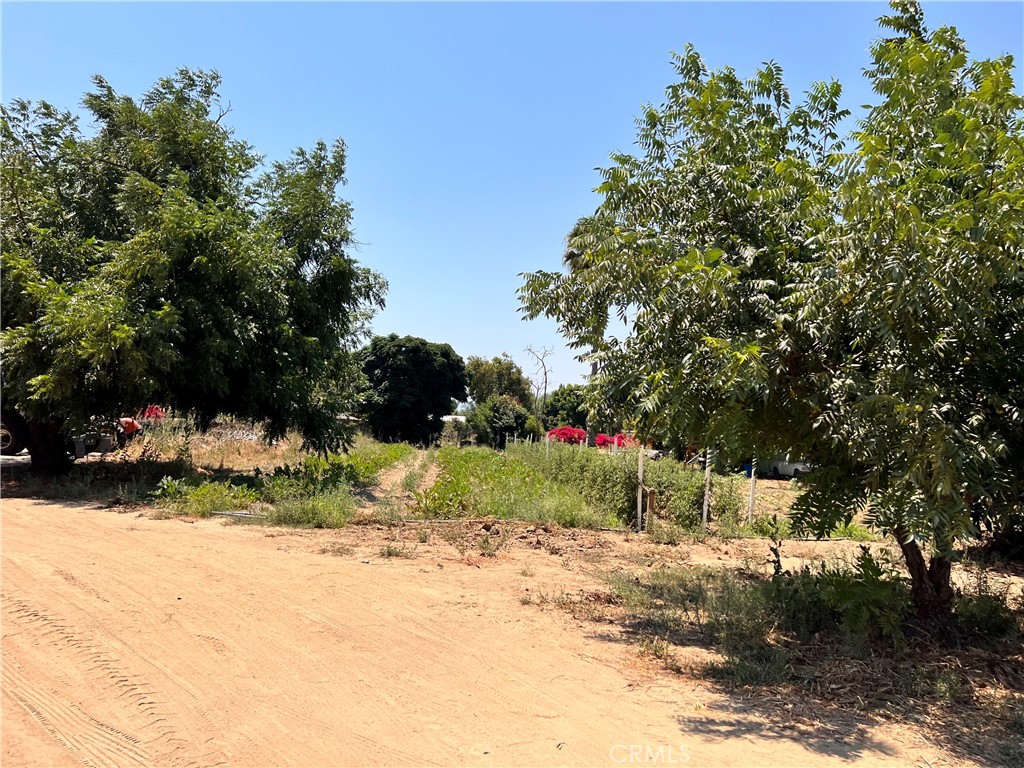 MLS #OC23188579 img 5