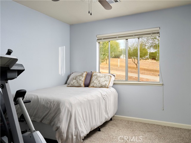 Bedroom #2 with south facing light