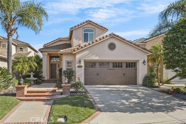 Front Image Thumbnail for CROC25239333