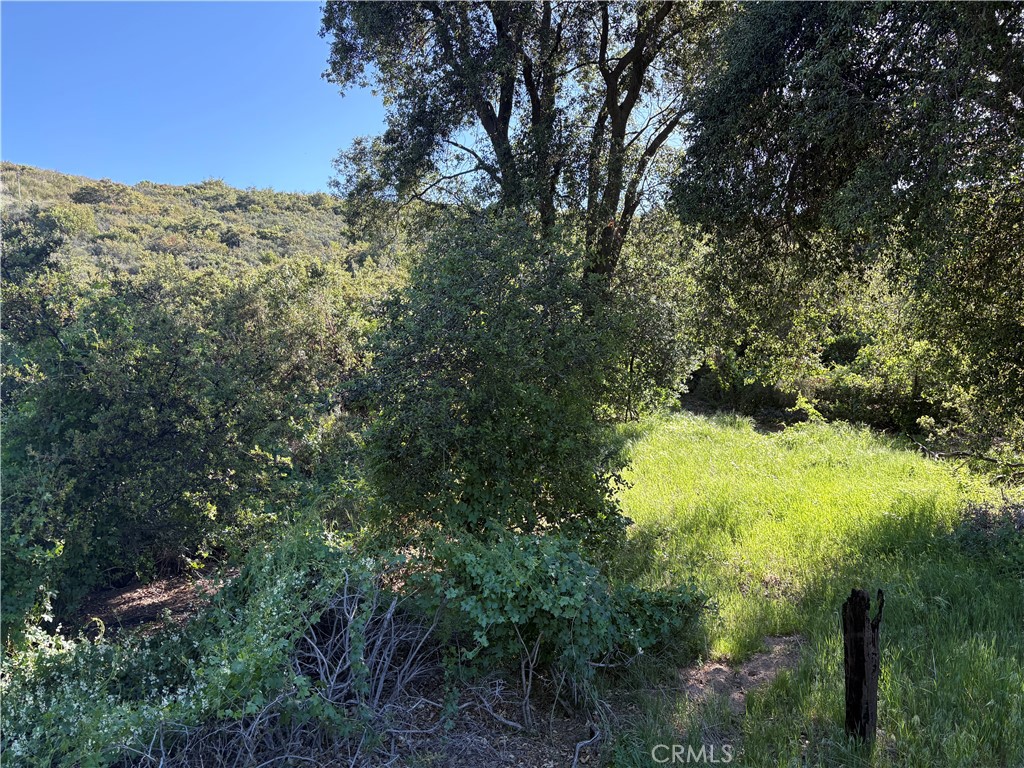 MLS #SW25110188 image #4