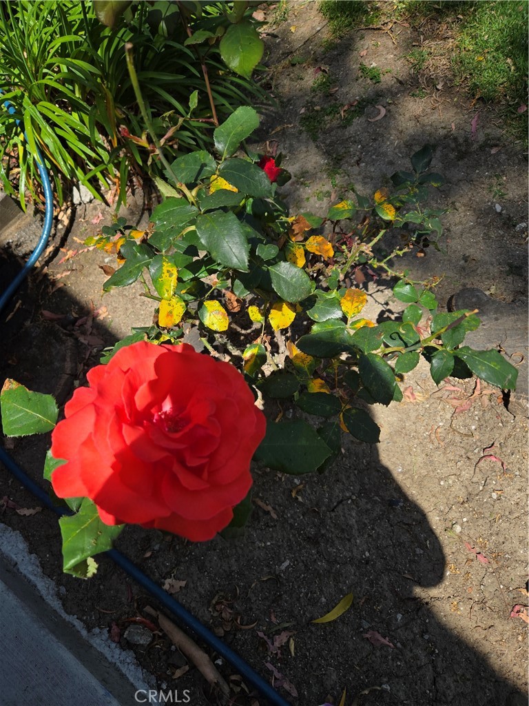 https://media.crmls.org/medias/3d08e532-d133-4398-ae0d-6187f617adda.jpg?preset=X-Large