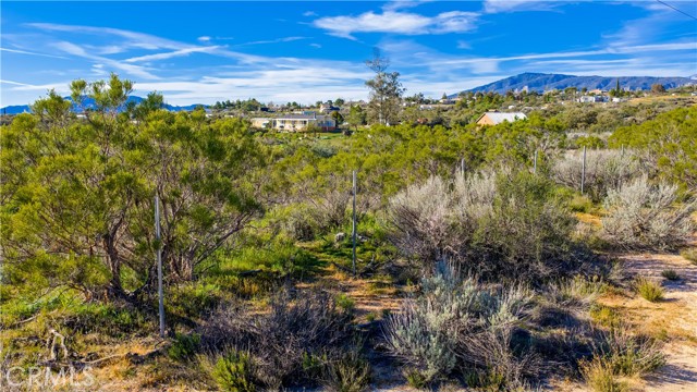 Detail Gallery Image 51 of 71 For 1 Apple Rd, Anza,  CA 92539 - – Beds | – Baths