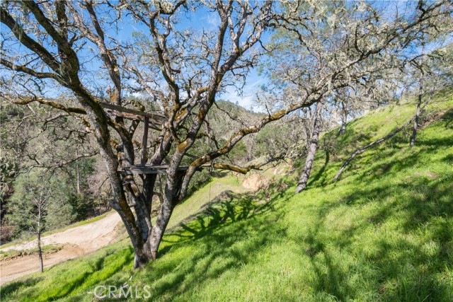 14615 Chimney Rock Road, Paso Robles, California 93446, 2 Bedrooms Bedrooms, ,1 BathroomBathrooms,Residential,For Sale,14615 Chimney Rock Road,CRNS24045627