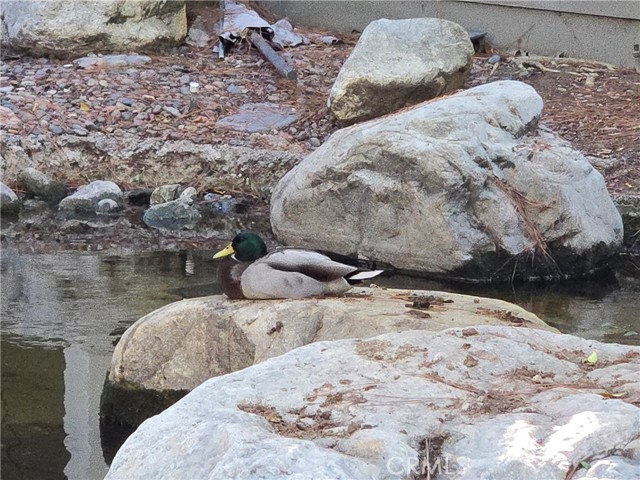 Detail Gallery Image 21 of 21 For 783 Grayling, Costa Mesa,  CA 92626 - 2 Beds | 2 Baths