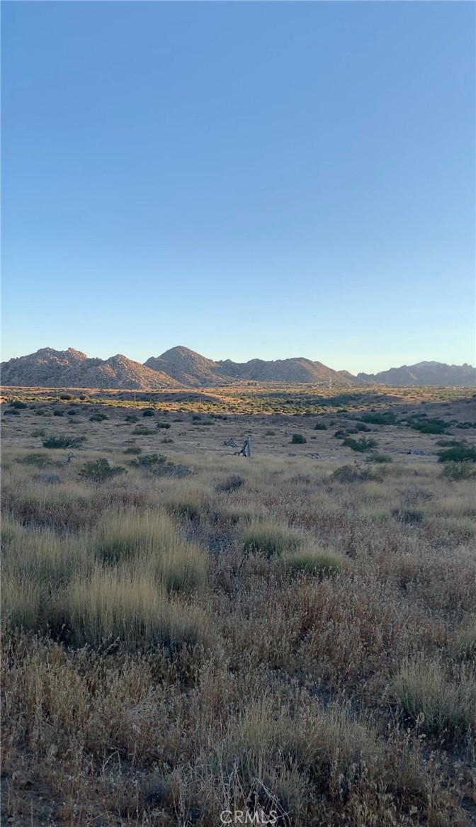 MLS #SW25164124 image #6