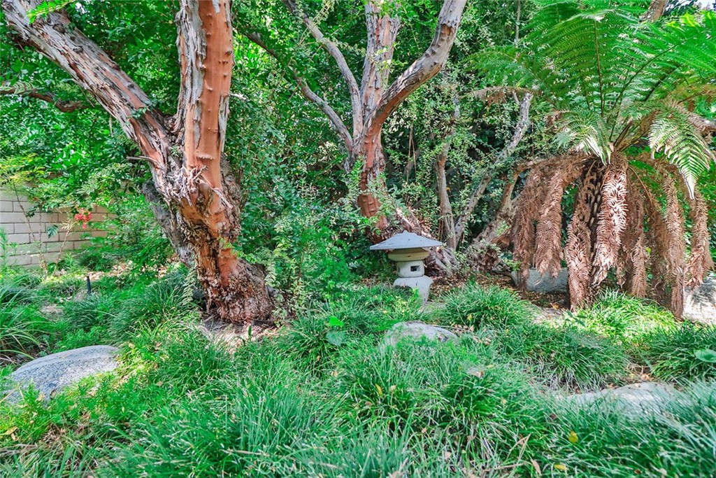 https://media.crmls.org/medias/3d2492df-bdeb-40cf-bb30-fce4868d4583.jpg?preset=X-Large
