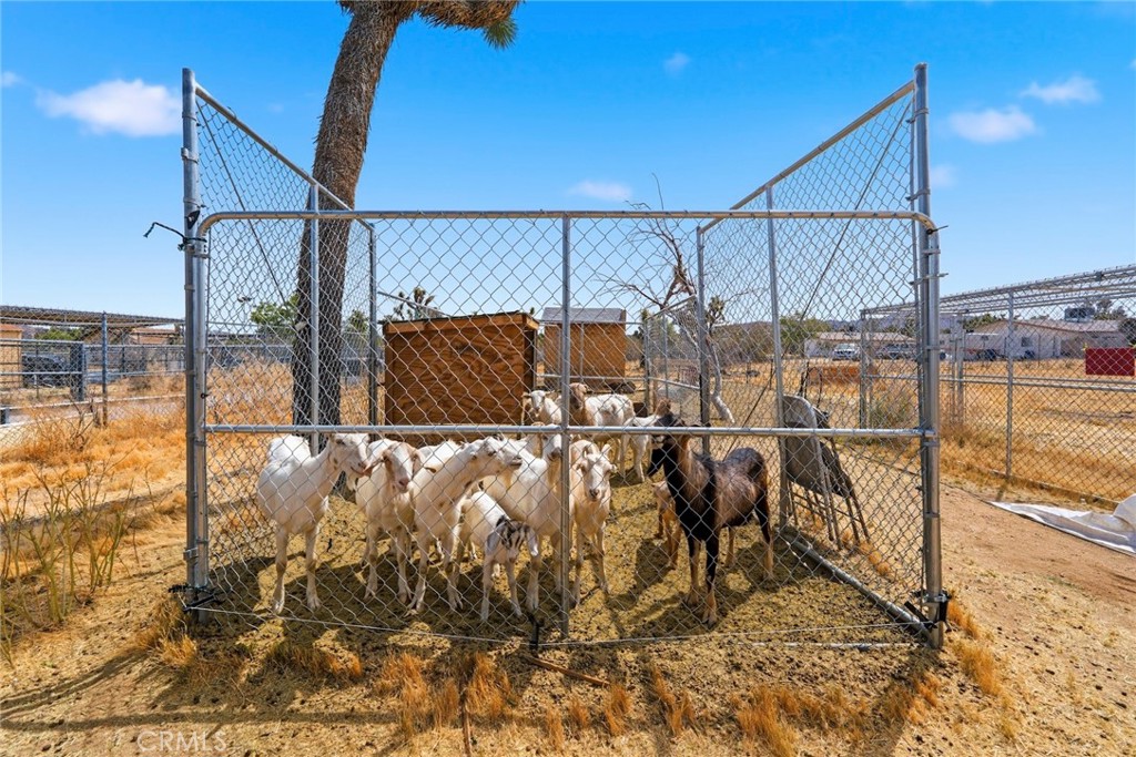 https://media.crmls.org/medias/3d256c0c-60f1-47c5-8dbb-28cca8741a58.jpg?preset=X-Large