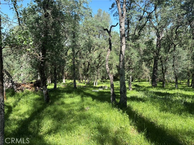 Detail Gallery Image 15 of 26 For 3465 Foothill Bld, Oroville,  CA 95966 - – Beds | – Baths