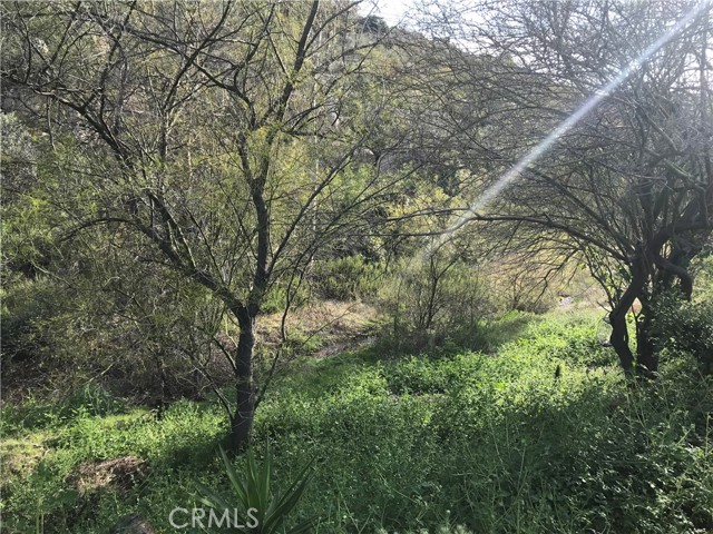 28291 Vista Del Valle, Hemet CA: https://media.crmls.org/medias/3d25f52c-10ff-41d8-8102-ede5bc482e3a.jpg