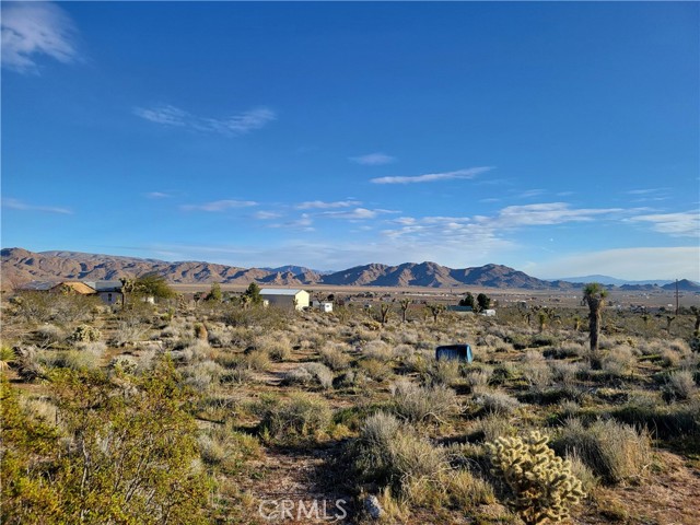 Detail Gallery Image 8 of 9 For 0 Dodge Rd, Lucerne Valley,  CA 92356 - – Beds | – Baths