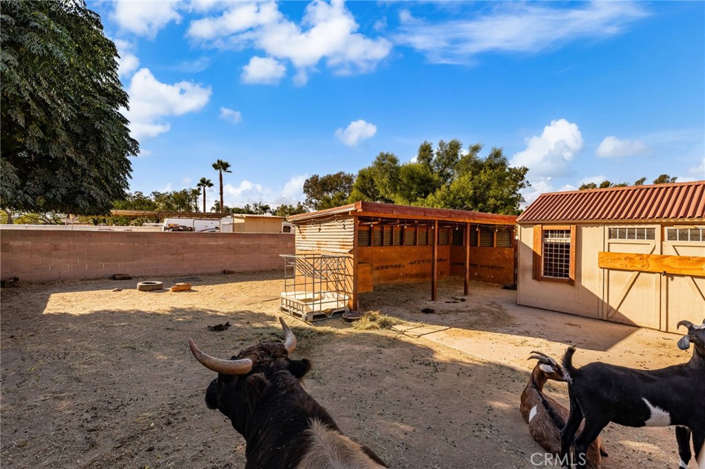 MLS #IG25230628 image #24