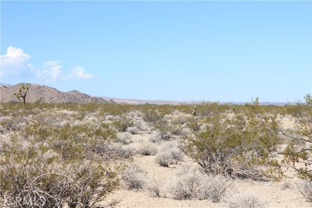 Detail Gallery Image 42 of 71 For 769 Meridian Rd, Lucerne Valley,  CA 92356 - – Beds | – Baths