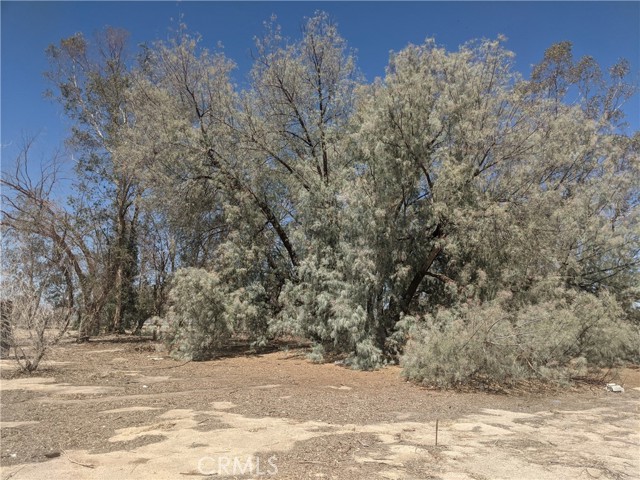 42797 Navajo, Newberry Springs, California 92365, ,Land,For Sale,42797 Navajo,CRHD23161688