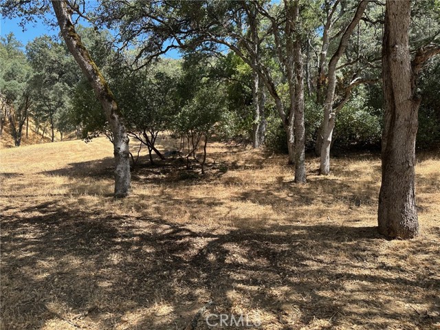 10810 Pingree Road, Clearlake Oaks CA: https://media.crmls.org/medias/3d35af1c-1a13-41b0-a29f-4952381b6bb4.jpg