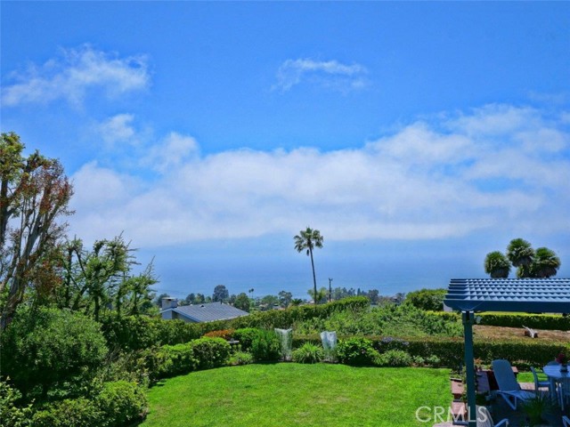 View from the Backyard Fence