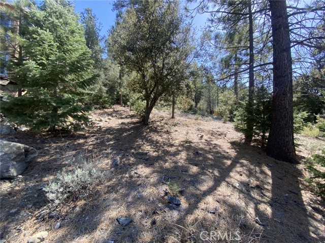 Detail Gallery Image 5 of 6 For 15028 Chestnut Ct, –,  CA 93222 - – Beds | – Baths