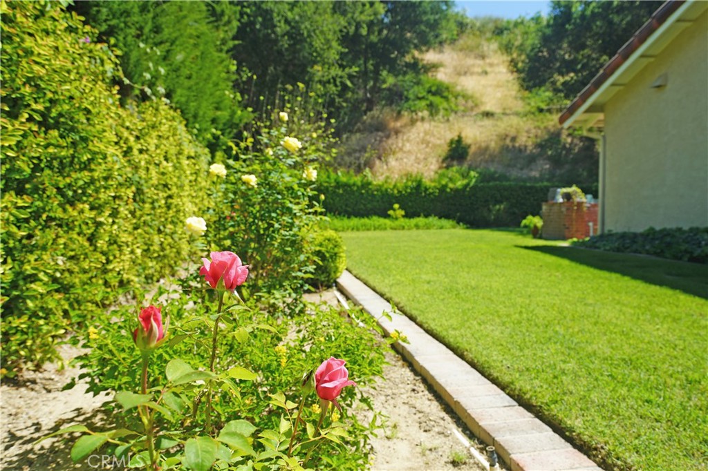 https://media.crmls.org/medias/3d441436-44b3-4048-b51b-9daaa481477c.jpg?preset=X-Large