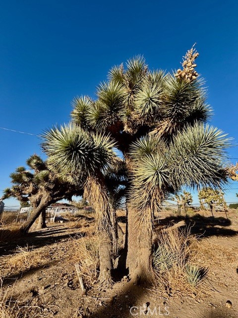 Detail Gallery Image 6 of 6 For 9950 Sonora Rd, Phelan,  CA 92371 - 3 Beds | 2 Baths
