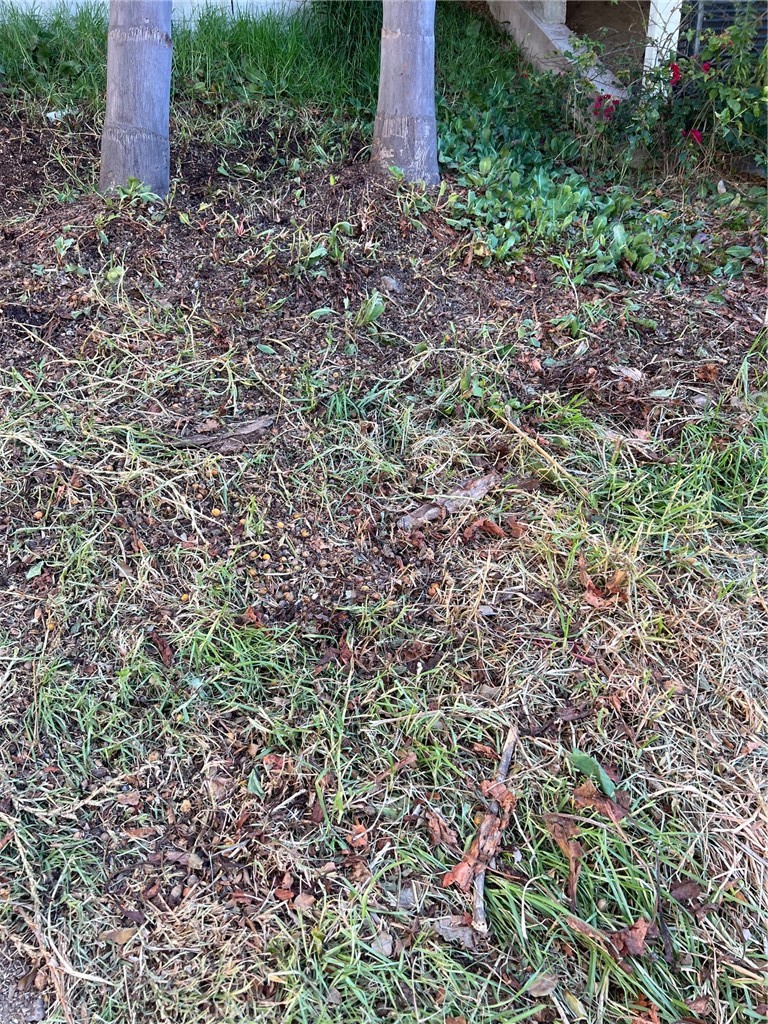 https://media.crmls.org/medias/3d4b709c-691b-4e8c-9f05-447c4b6ec746.jpg?preset=X-Large