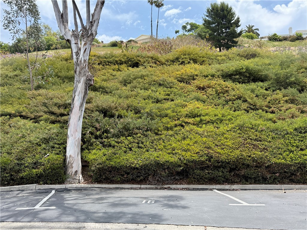 https://media.crmls.org/medias/3d4fe348-222e-4ece-9d83-10e19b020f23.jpg?preset=X-Large
